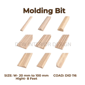 Molding Bit